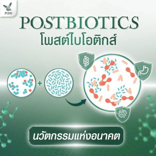 POW S Fiber พาว เอสไฟเบอร์ มัตติไฟเบอร์ผงผักและผลไม้ #11